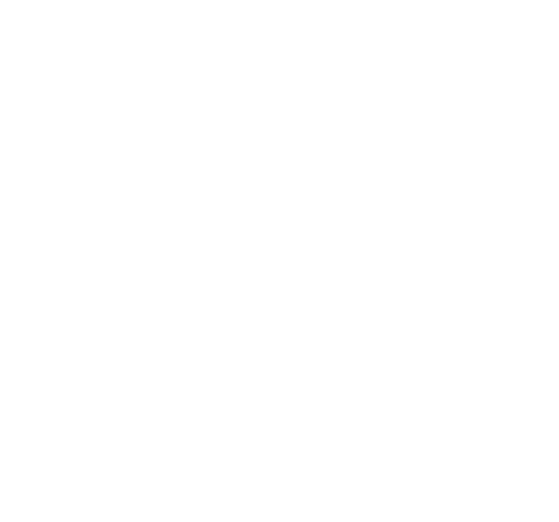 Salgado Automotriz